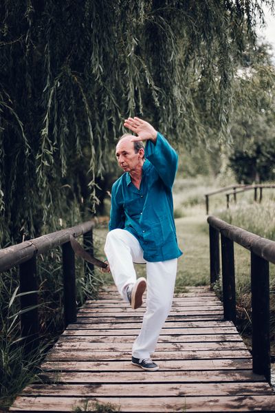 Cours de Taï Chi Chuan La Vague